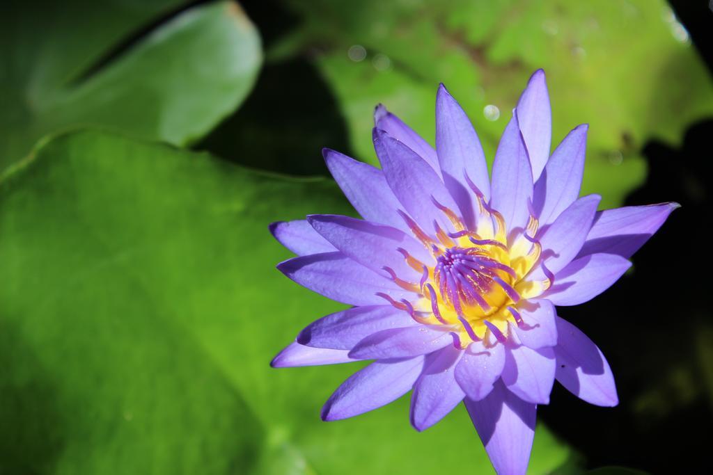 Nhà nghỉ Duy An Mũi Né Ngoại thất bức ảnh